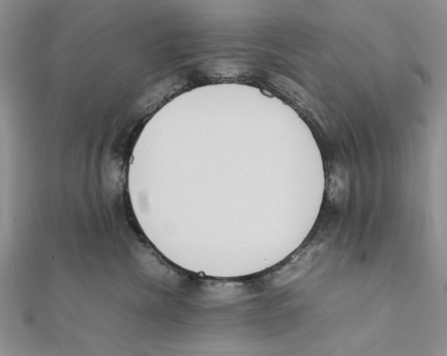 X0000111650476200908141256