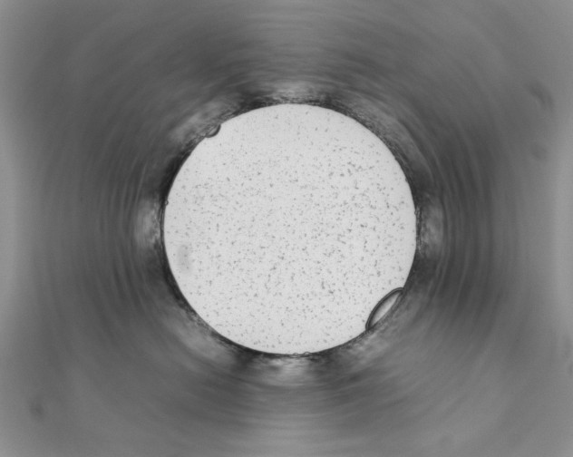 X0000111650478200908141256