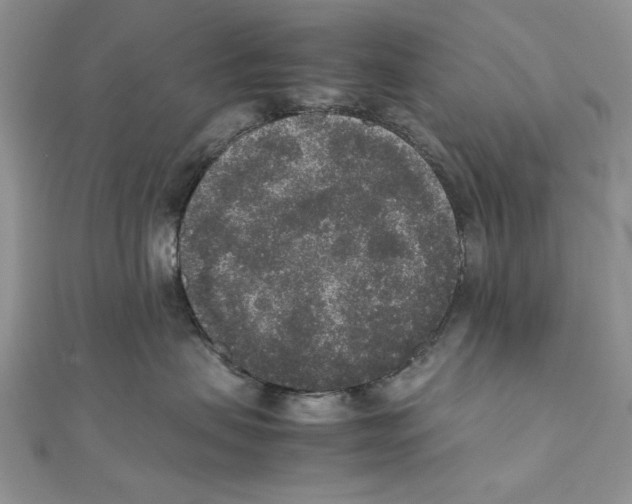 X0000111650479200908141256
