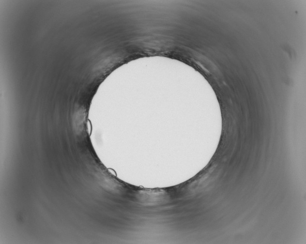 X0000111650480200908141256