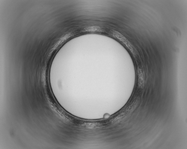 X0000111650482200908141255