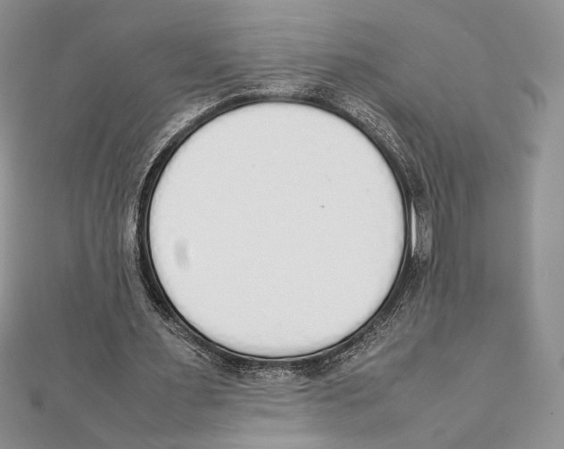 X0000111650483200908141255