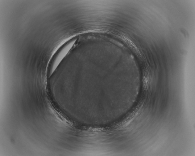 X0000111650484200908141255