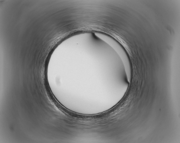 X0000111650485200908141255