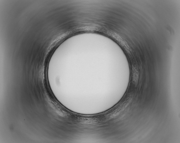X0000111650486200908141255