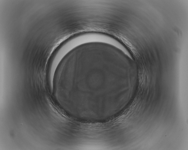X0000111650488200908141255