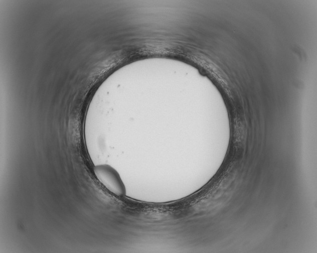 X0000111650489200908141255
