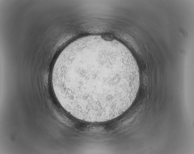 X0000111650491200908141255