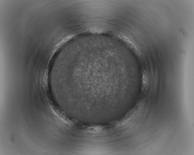 X0000111650492200908141255