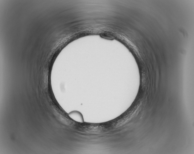 X0000111650493200908141255