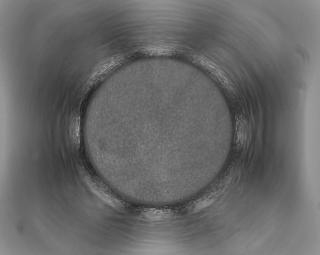X0000111650494200908141255