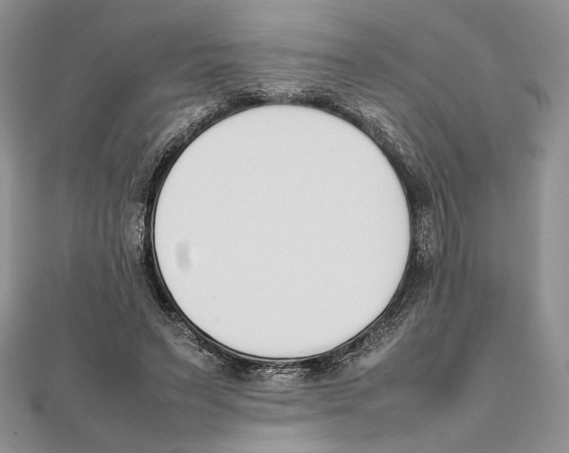 X0000111650495200908141255