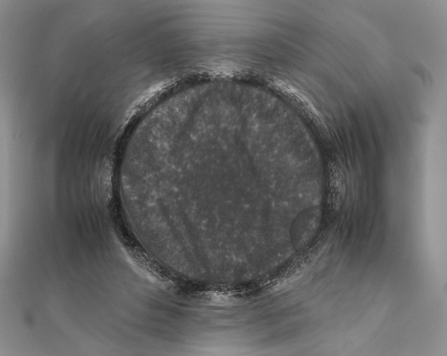 X0000111650496200908141255