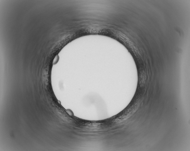 X0000111650497200908141255