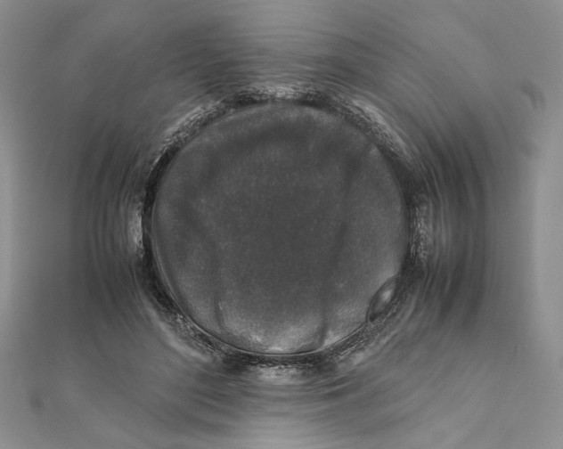 X0000111650500200908141255