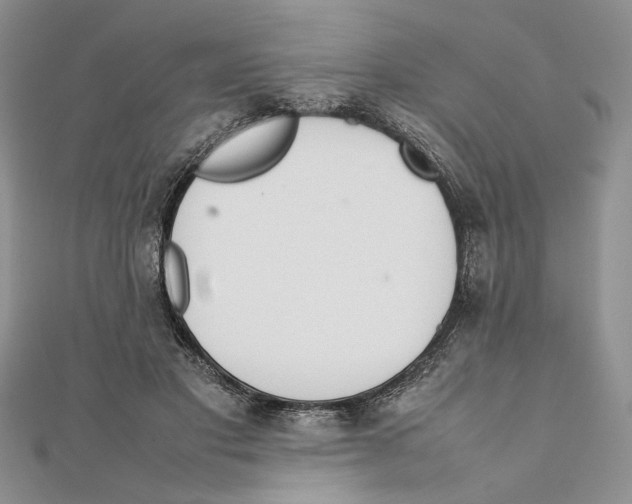X0000111650501200908141255