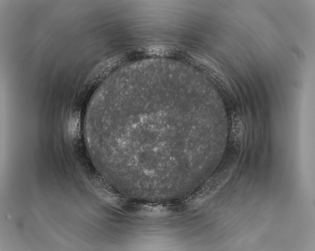 X0000111650502200908141255