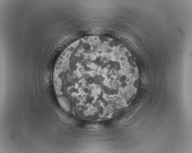X0000111650503200908141255
