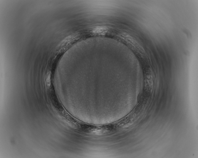 X0000111650504200908141255