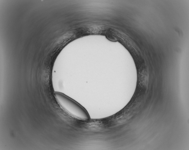 X0000111650505200908141255