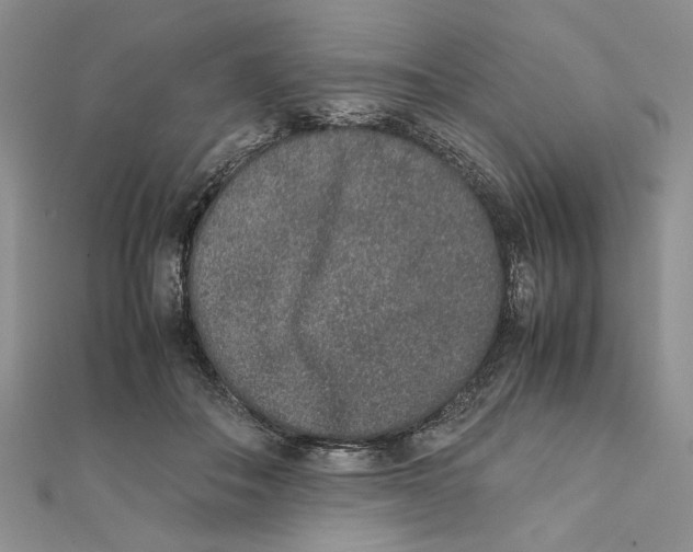 X0000111650506200908141255