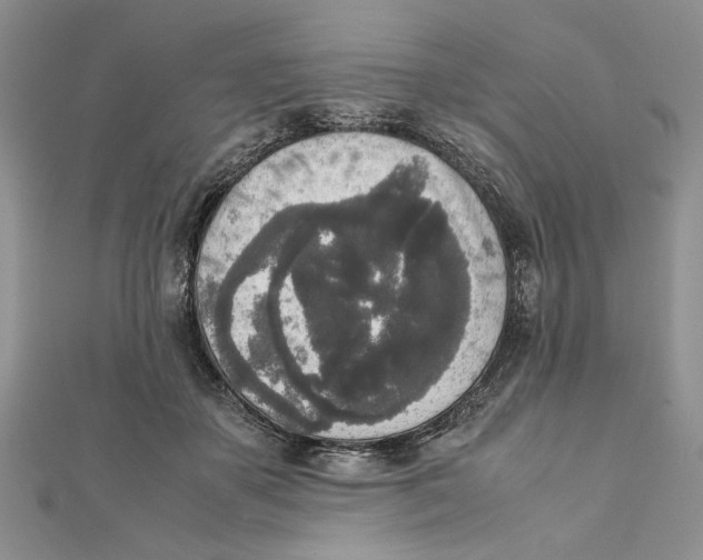 X0000111650507200908141255