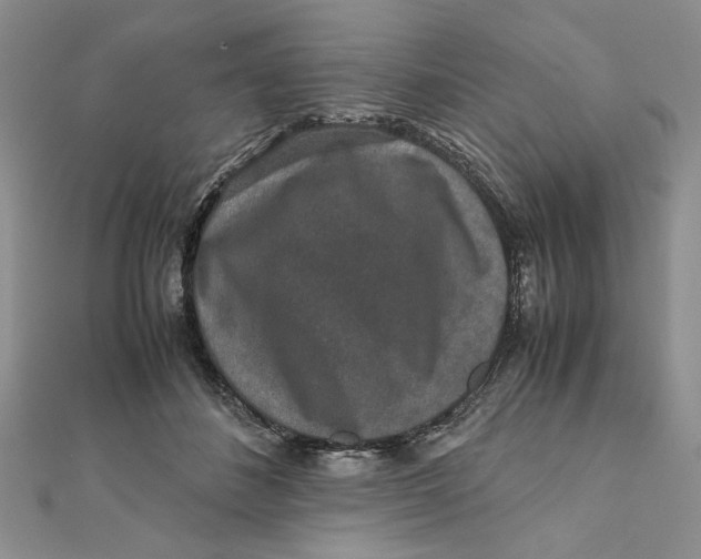 X0000111650508200908141255