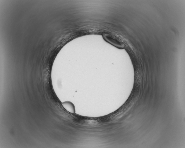 X0000111650509200908141255