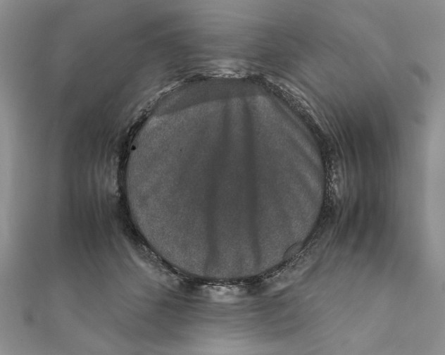 X0000111650512200908141255