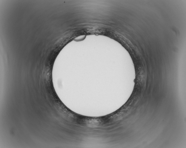 X0000111650513200908141255