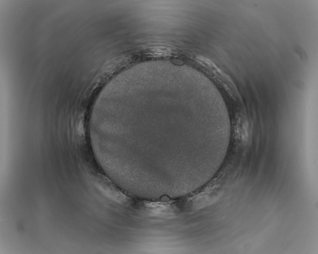 X0000111650516200908141255