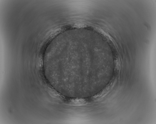 X0000111650517200908141255