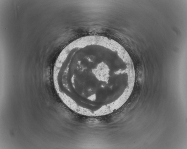 X0000111650519200908141254