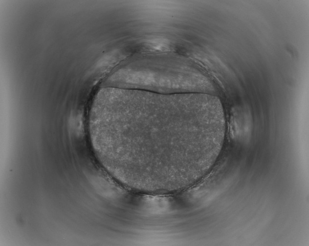 X0000111650520200908141254