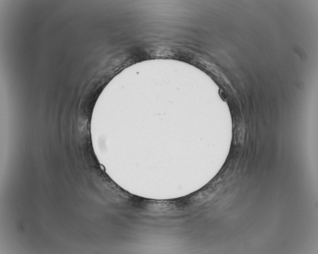 X0000111650521200908141254