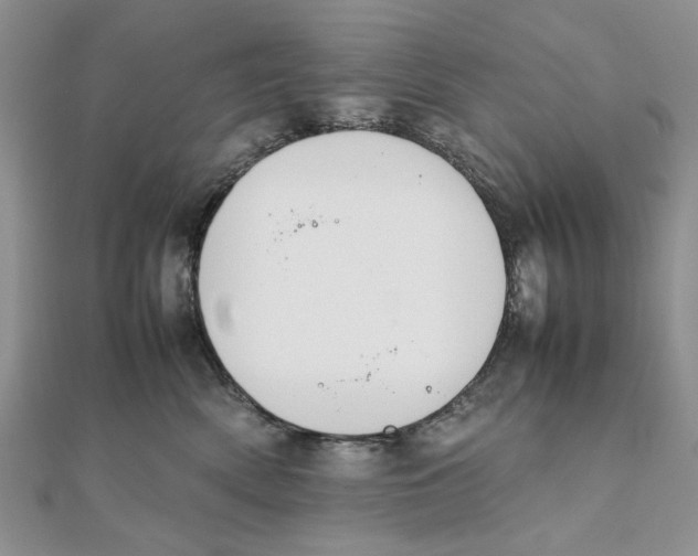 X0000111650522200908141254