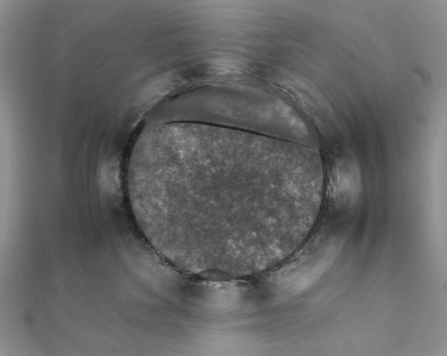 X0000111650524200908141254