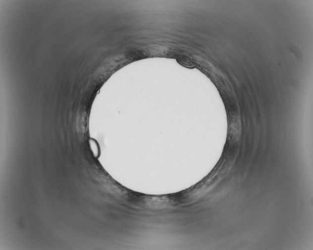 X0000111650525200908141254
