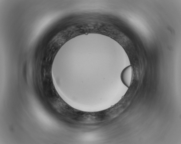 X0000111650526200908141254