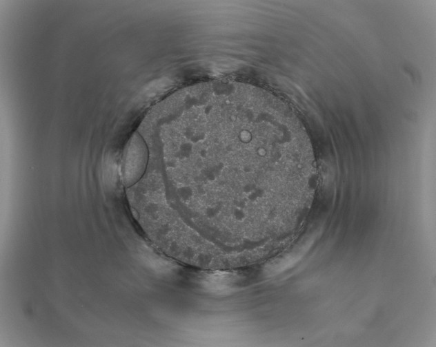 X0000111650527200908141254