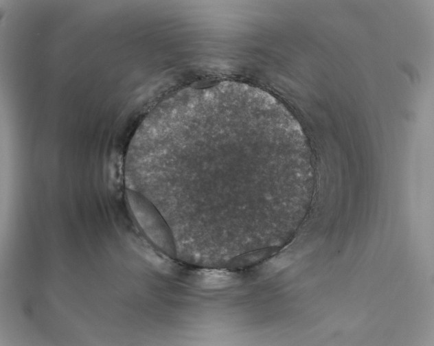 X0000111650528200908141254