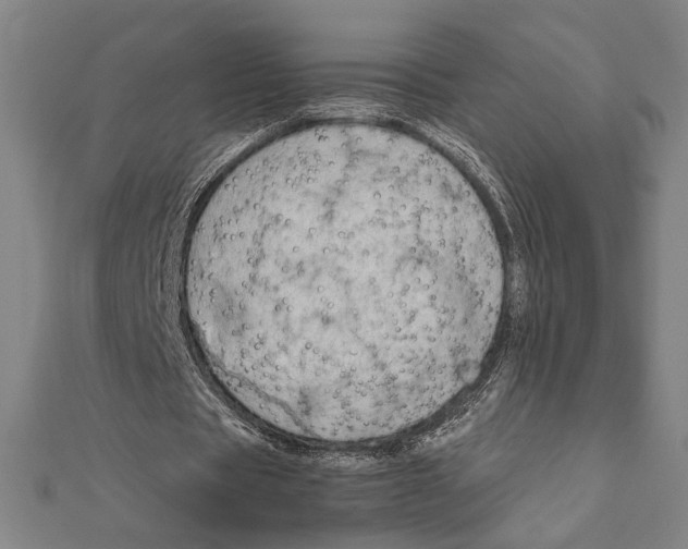 X0000111650529200908141254