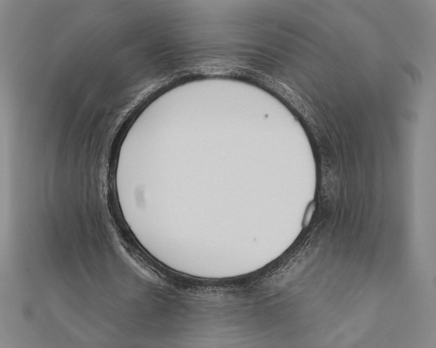 X0000111650530200908141254