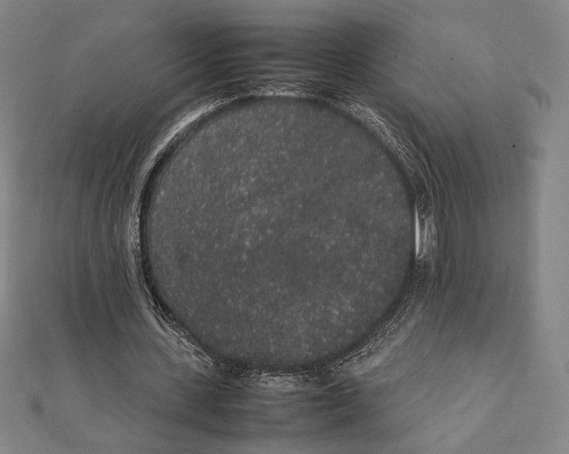 X0000111650531200908141254