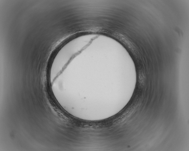 X0000111650532200908141254