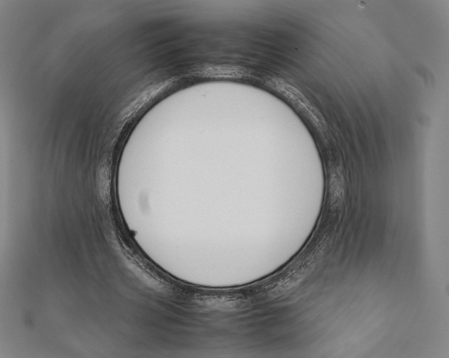X0000111650533200908141254