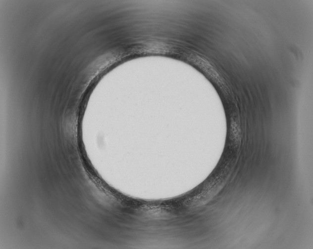 X0000111650534200908141254