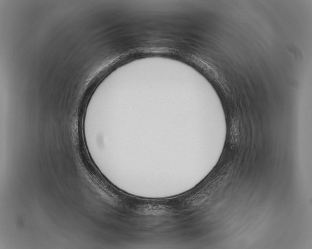 X0000111650535200908141254