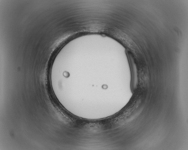X0000111650536200908141254