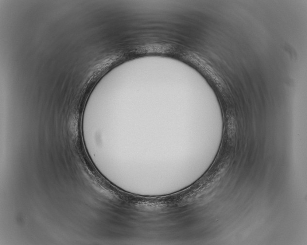 X0000111650537200908141254